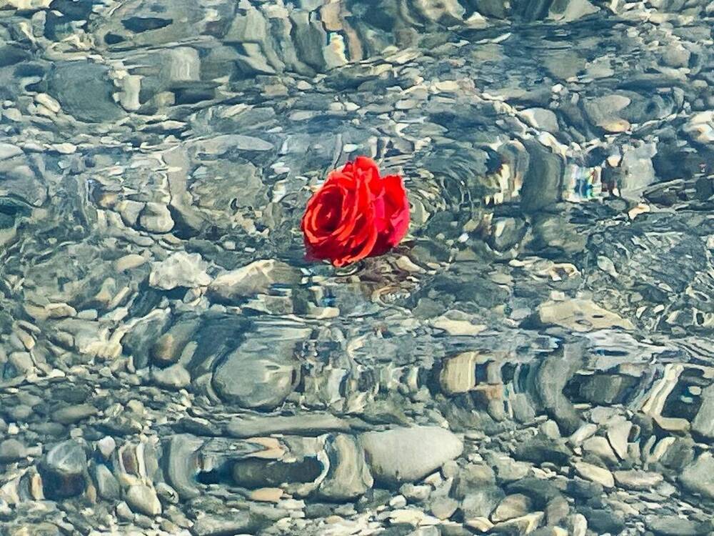 Trauerfeier Galerie 3