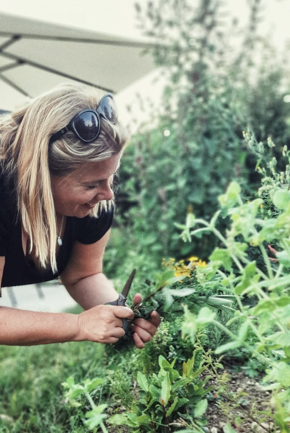 Garten hinter dem BeratungsRaum 7 in Zürich
